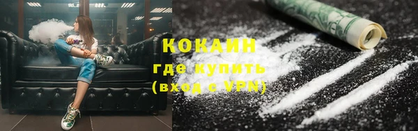 индика Армянск