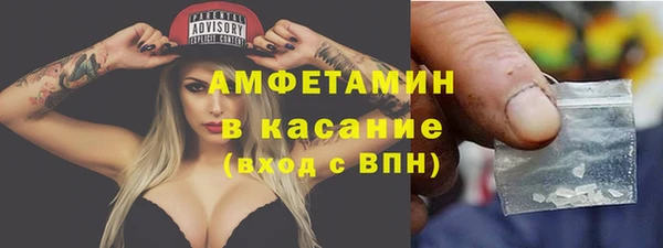 индика Армянск