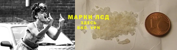 spice Аркадак