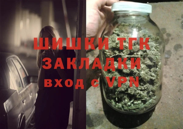 индика Армянск