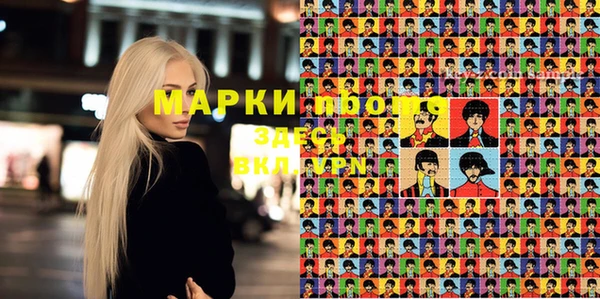 индика Армянск