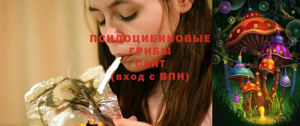spice Аркадак