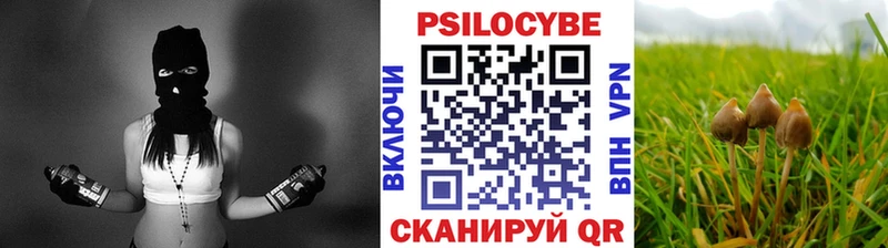Галлюциногенные грибы GOLDEN TEACHER  нарко площадка Telegram  Рошаль 